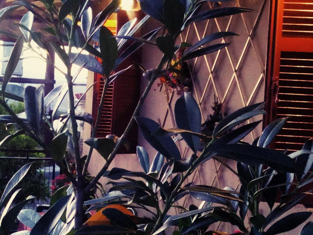 Maison Des Amis Vatopédhion 외부 사진